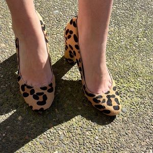 via spiga womens leopard print heels